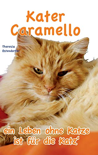 Kater Caramello: ein Leben ohne Katze ist für die Katz